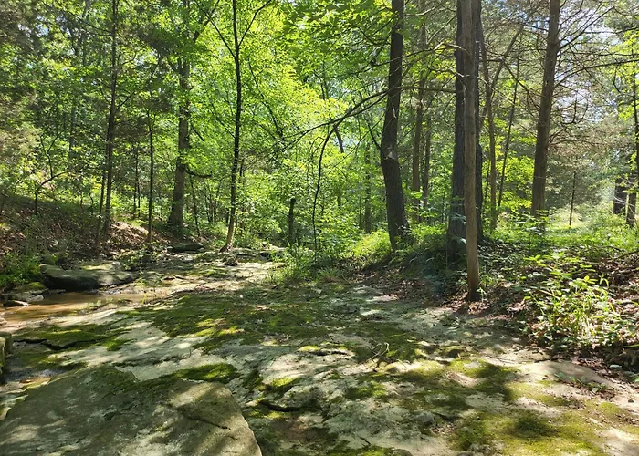 Pondview Escape A 75-acre Retreat Сasa de vacaciones Marion