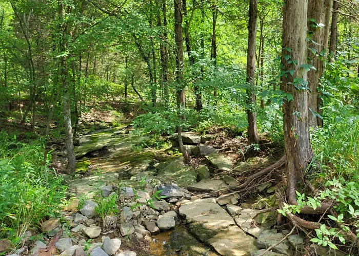 Pondview Escape A 75-acre Retreat Сasa de vacaciones